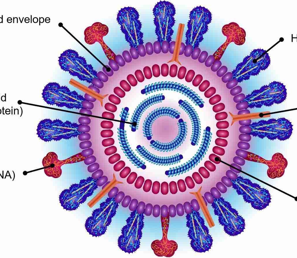 AWAS! Influenza A Mengganas di Asia Tenggara: Apa yang Perlu Anda Tahu Agar Tetap Aman?